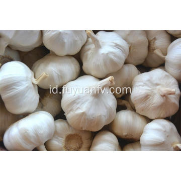 2018 harga bawang putih bawang putih murni baru